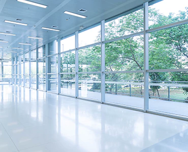 emergency glass repair in Carrollwood, FL