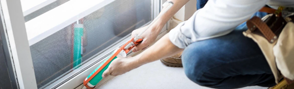 Emergency Window Replacement Services in Carrollwood, FL