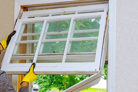 Window Replacement in Carrollwood, FL